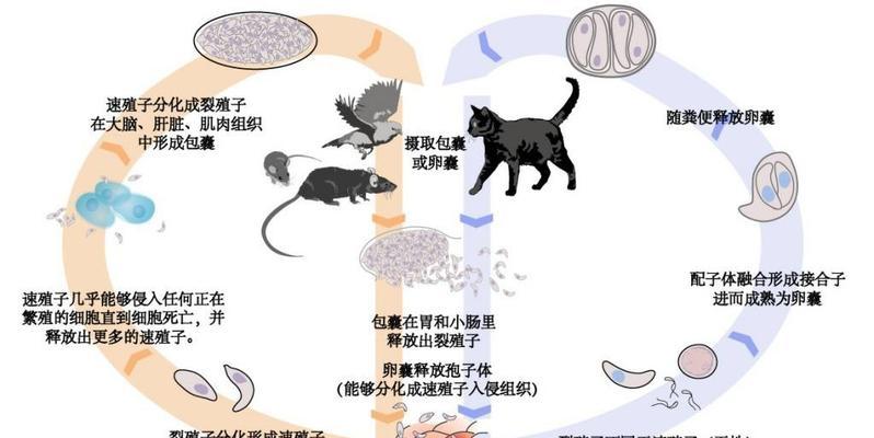 文章详情图片