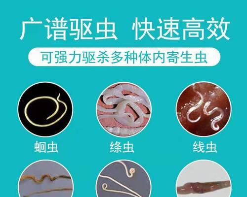 文章详情图片