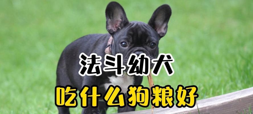 文章详情图片