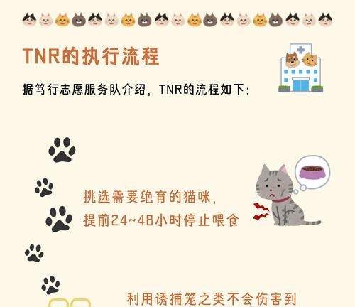 文章详情图片
