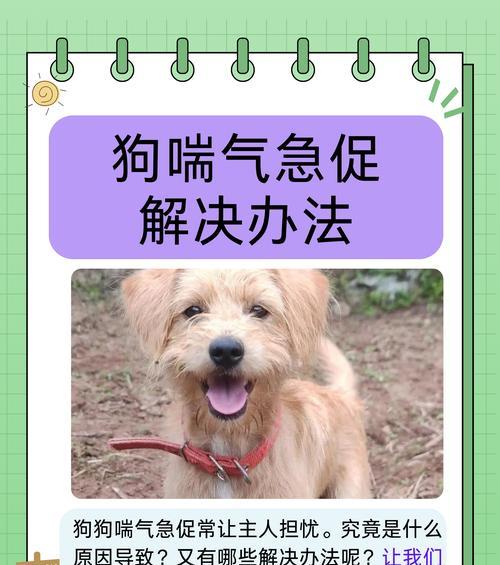 文章详情图片