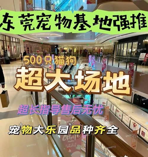 文章详情图片