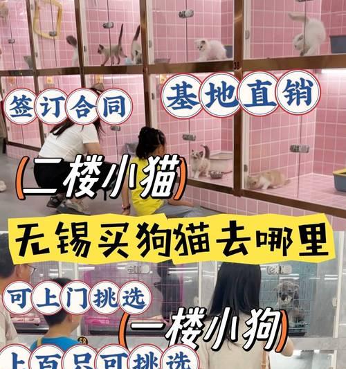 文章详情图片