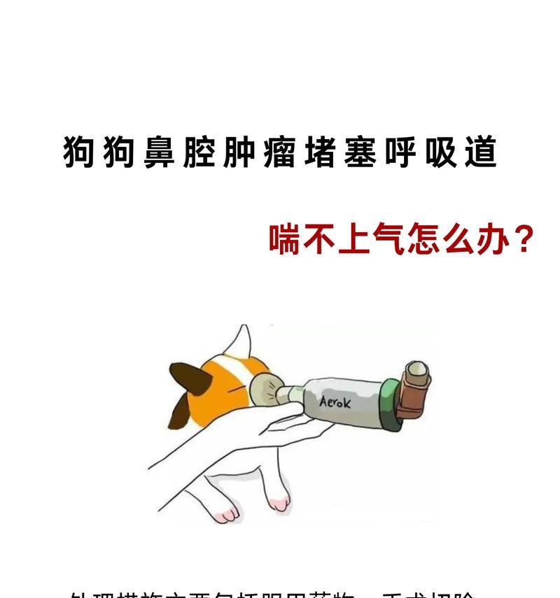 文章详情图片