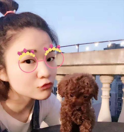 文章详情图片