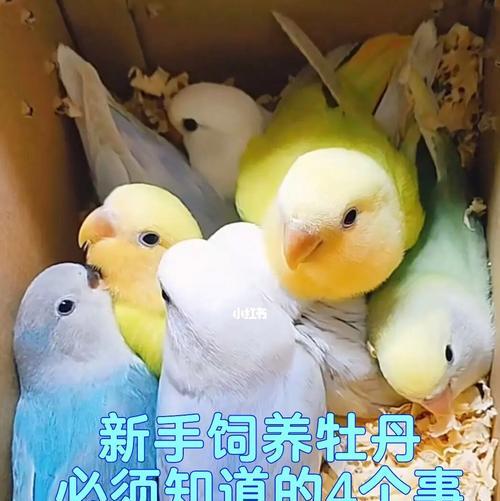 文章详情图片