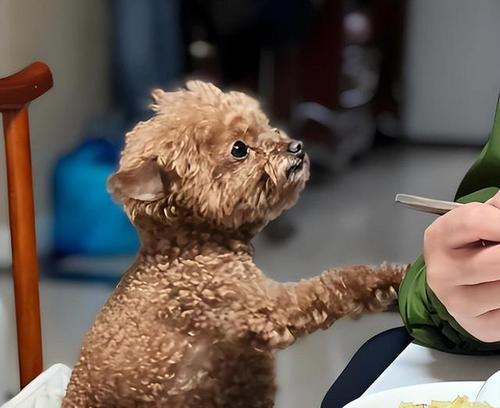 文章详情图片