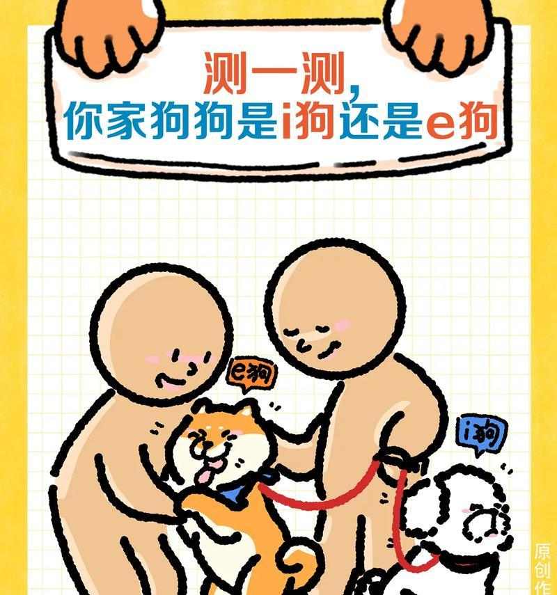 深情不渝，以爱犬为主题的文章（探索与狗狗的深度情感，爱犬无限）