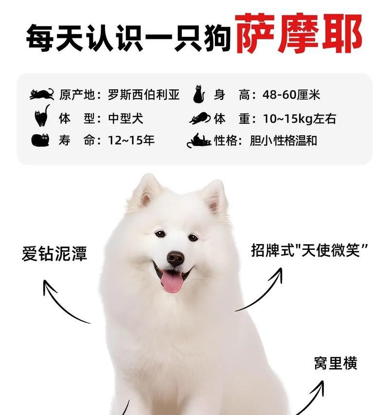 文章详情图片