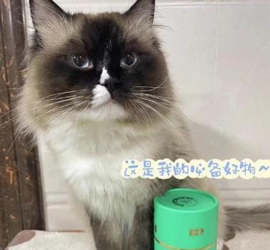 文章详情图片