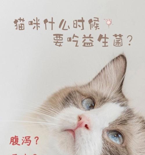 文章详情图片