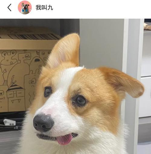 文章详情图片