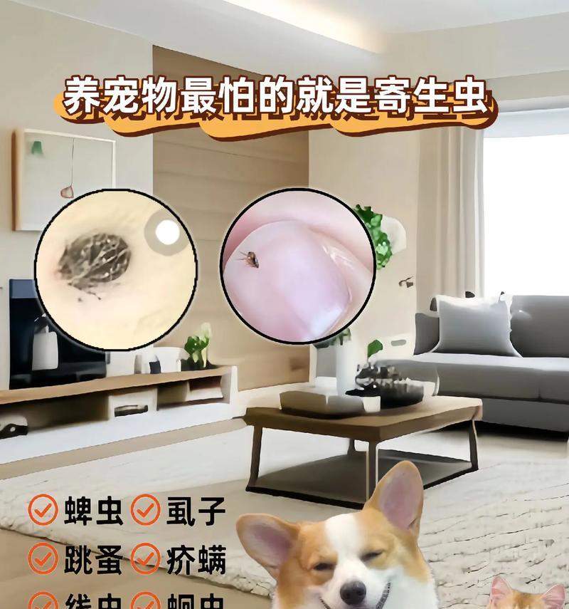 文章详情图片