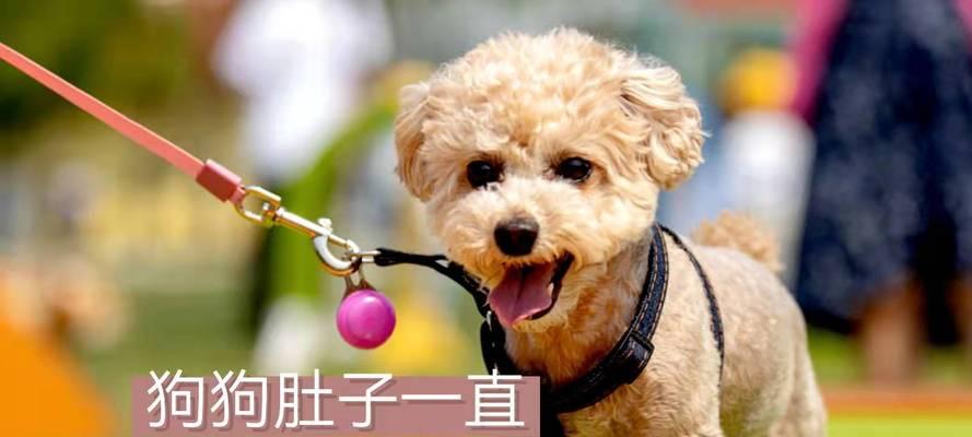 文章详情图片