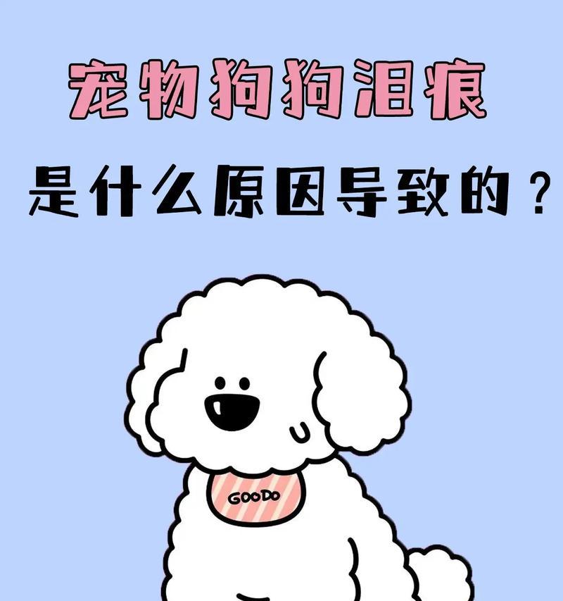 文章详情图片