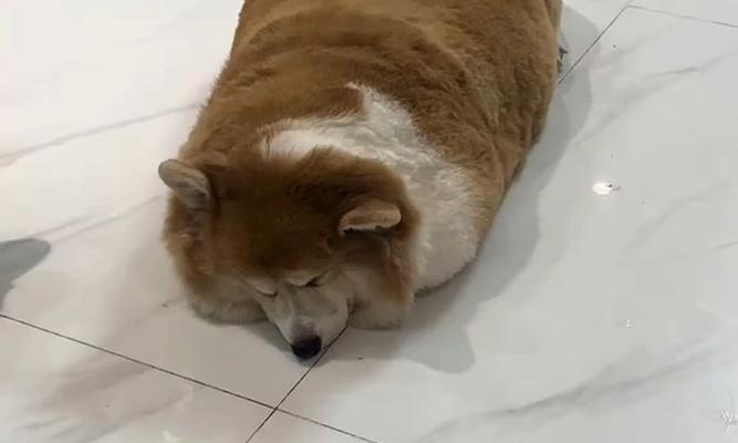 文章详情图片