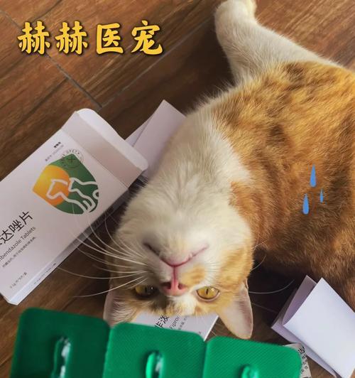 文章详情图片
