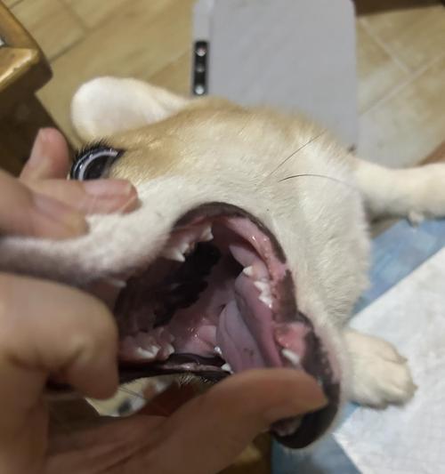 文章详情图片