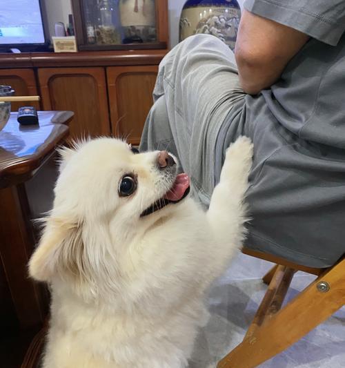 文章详情图片