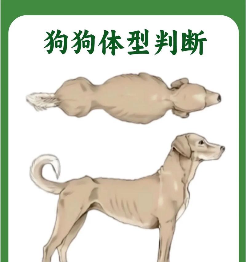 文章详情图片