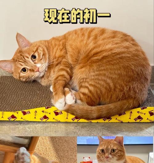 文章详情图片