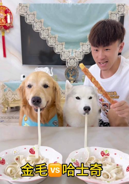 文章详情图片