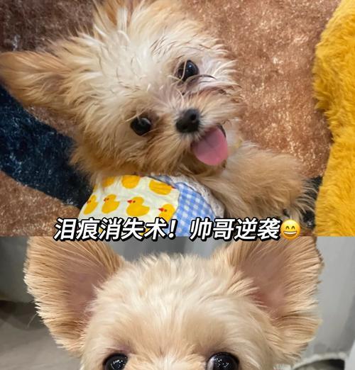 文章详情图片