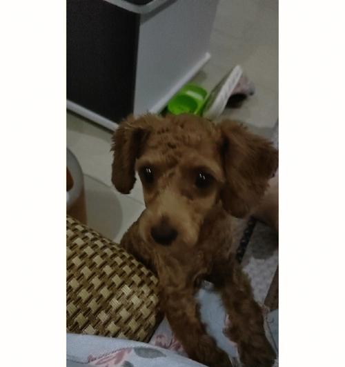 文章详情图片