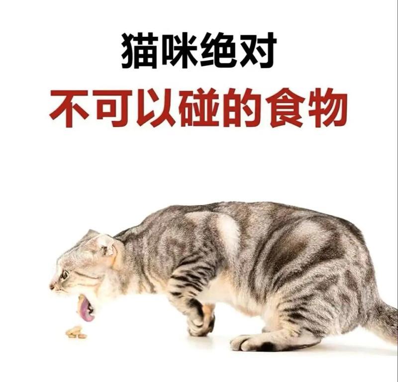 文章详情图片
