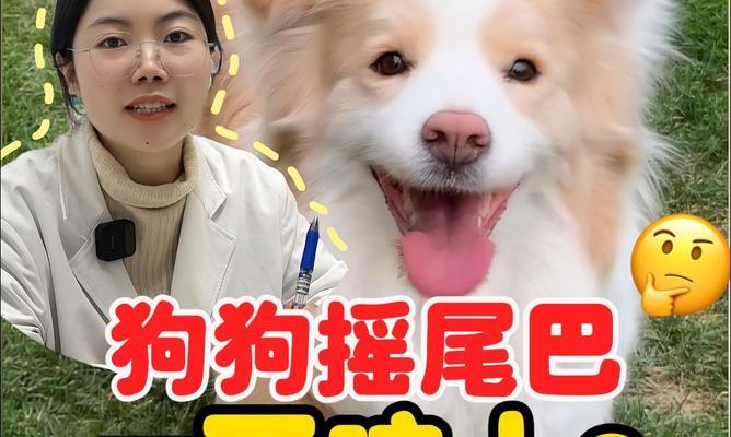 文章详情图片