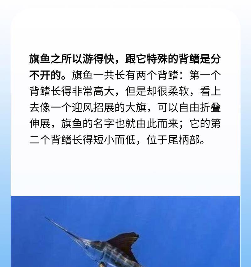 文章详情图片