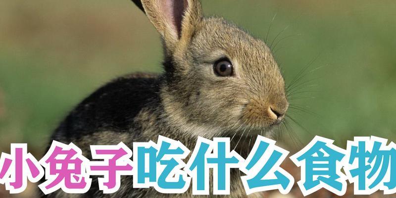 文章详情图片