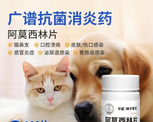 文章详情图片