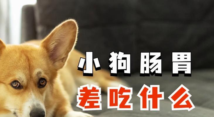 文章详情图片
