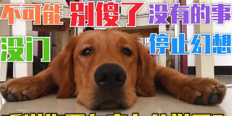 文章详情图片