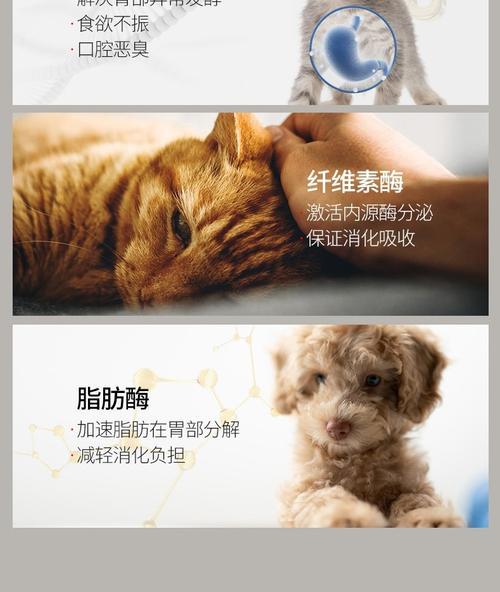 文章详情图片