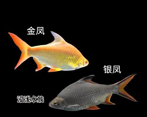 文章详情图片