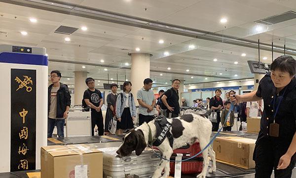文章详情图片