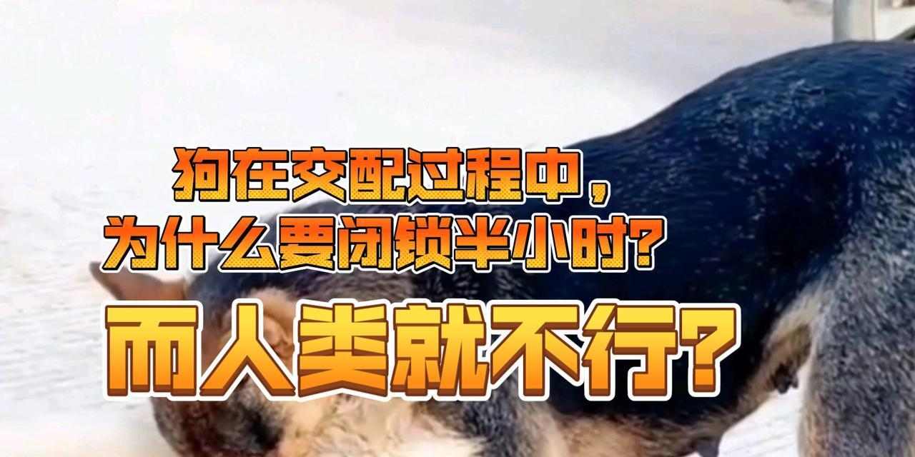 文章详情图片