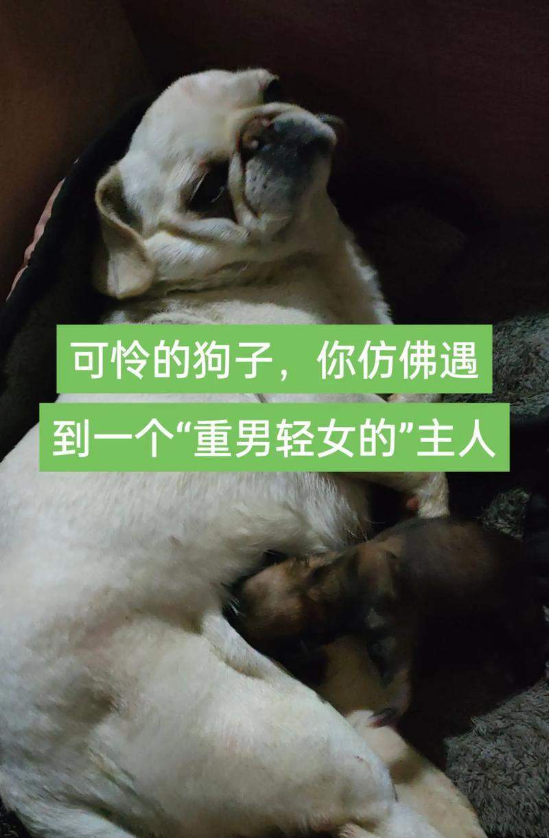 文章详情图片