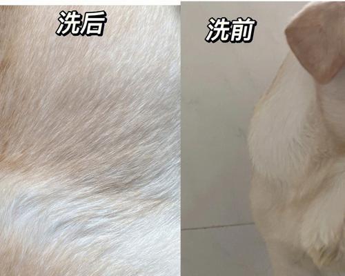 文章详情图片