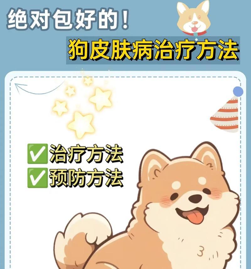 文章详情图片