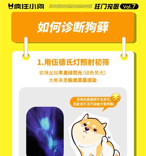 文章详情图片