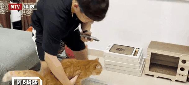 文章详情图片