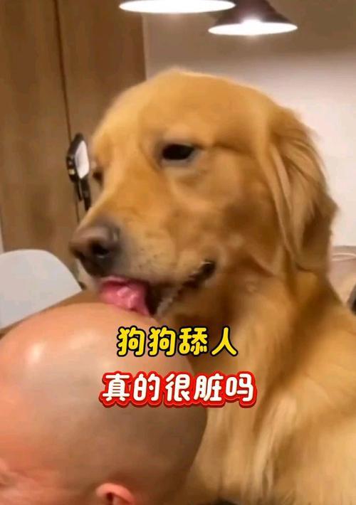 文章详情图片