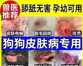 文章详情图片