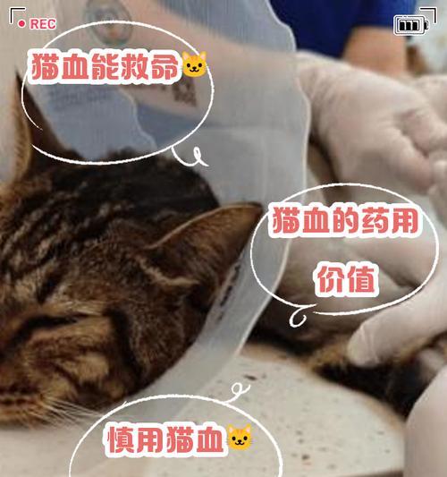 文章详情图片