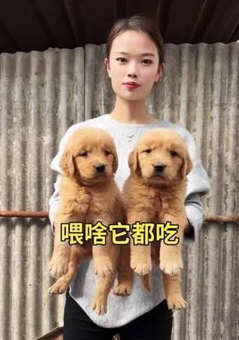 文章详情图片