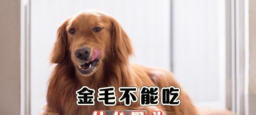 文章详情图片
