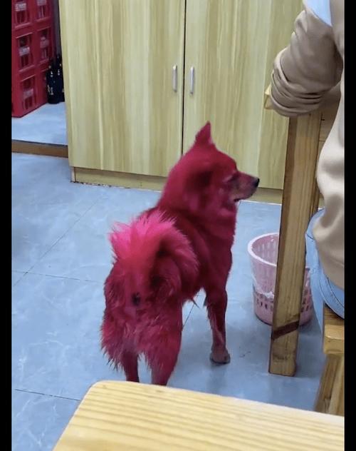 文章详情图片